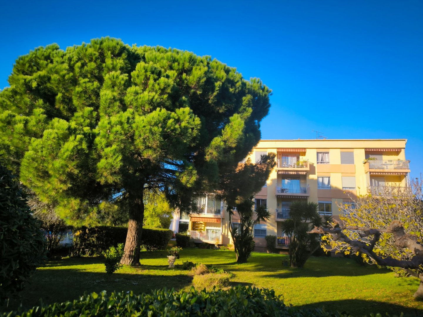 APPARTEMENT T2 A VENDRE - FREJUS - 40.63 m2 - 189000€